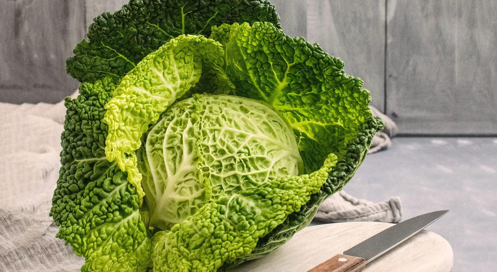 Tutte le differenze tra cavoli e verze