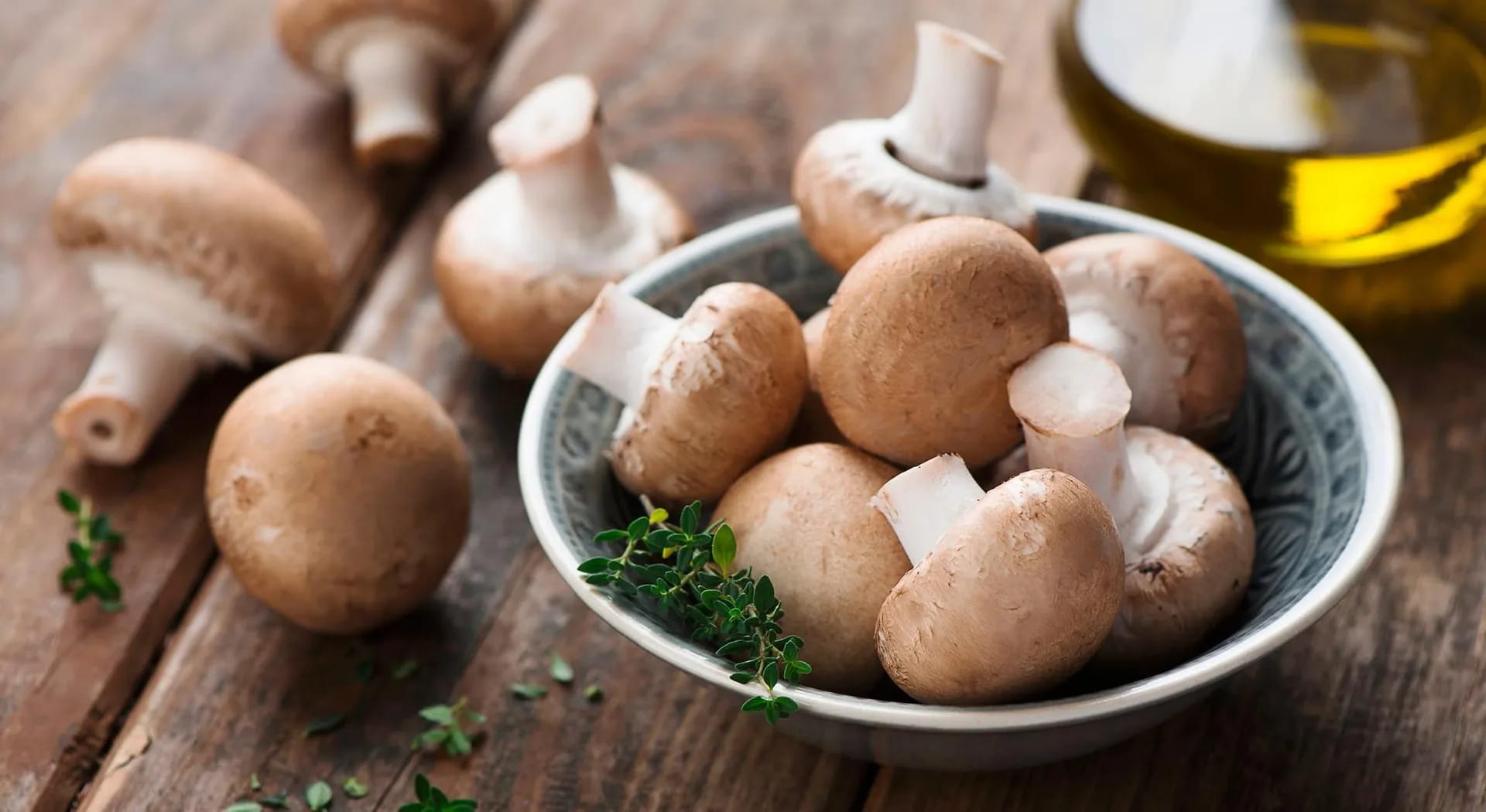 Come conservare i funghi freschi