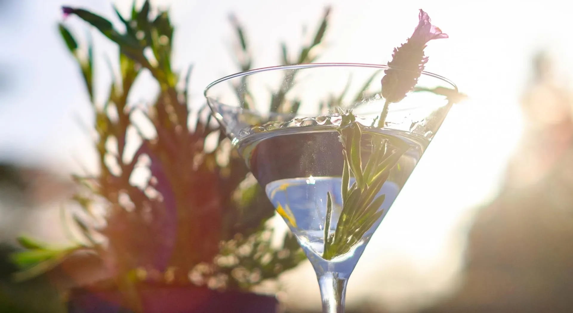 Wie man eine Cocktailparty im Garten organisiert