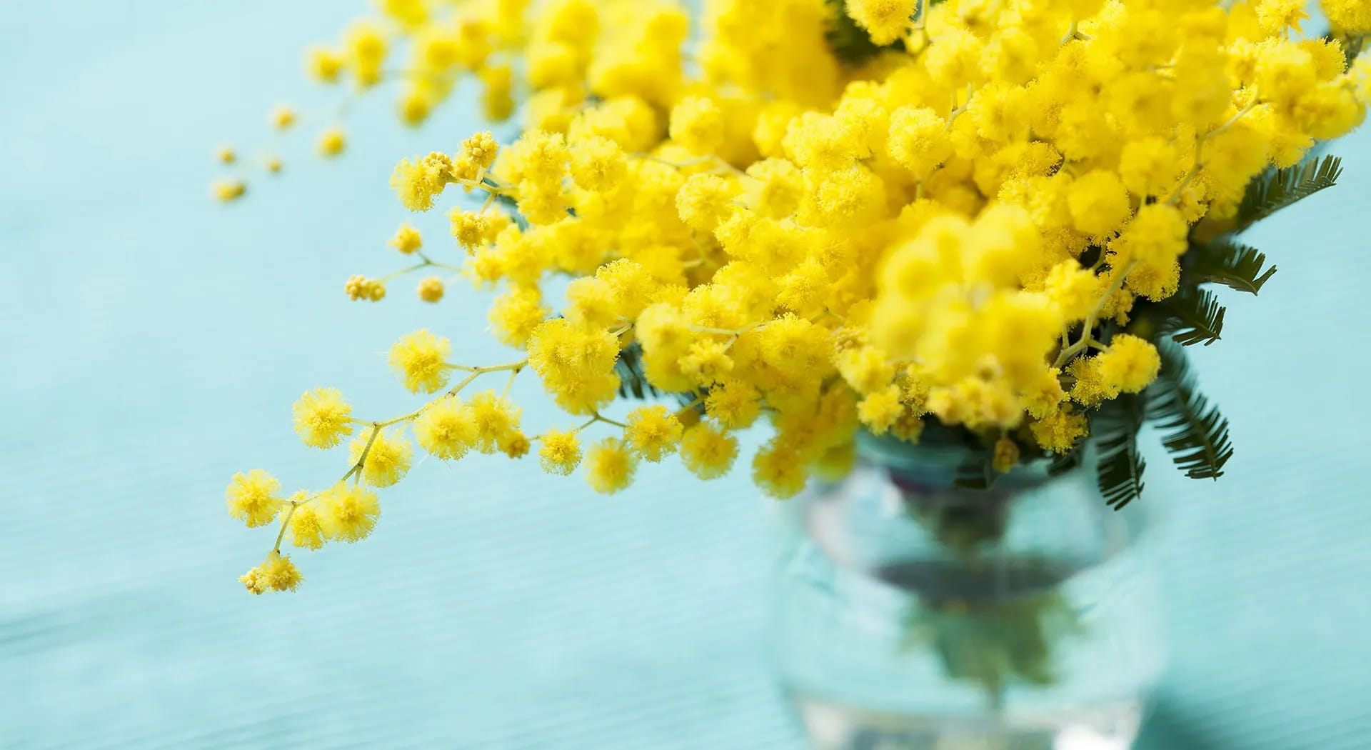 Festa della donna: decorazioni fai da te e suggerimenti per la tavola