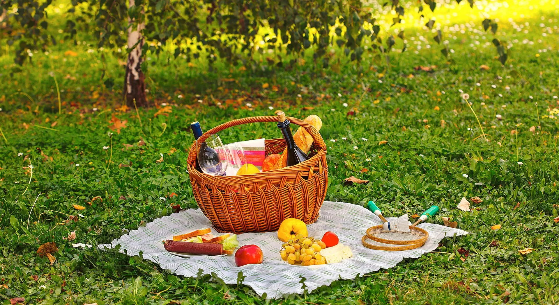 Picknick: Alle Stile und Gelegenheiten, um auf dem Rasen zu essen